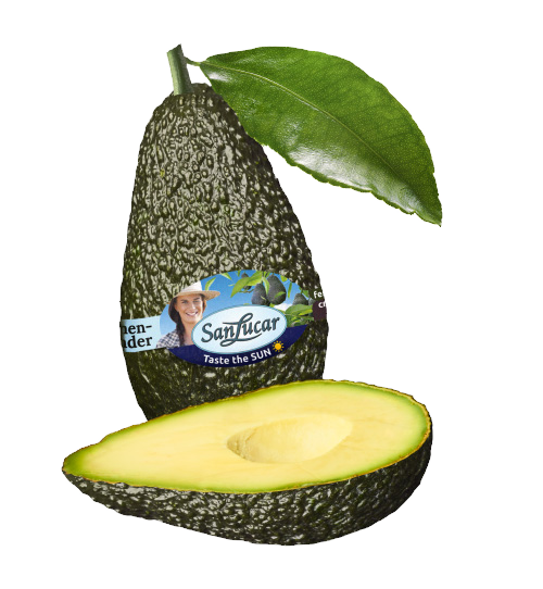 Lose ganze und halbe SanLucar Avocados