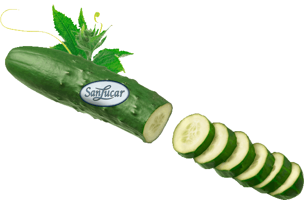 Loose SanLucar cucumber cut in half and sliced