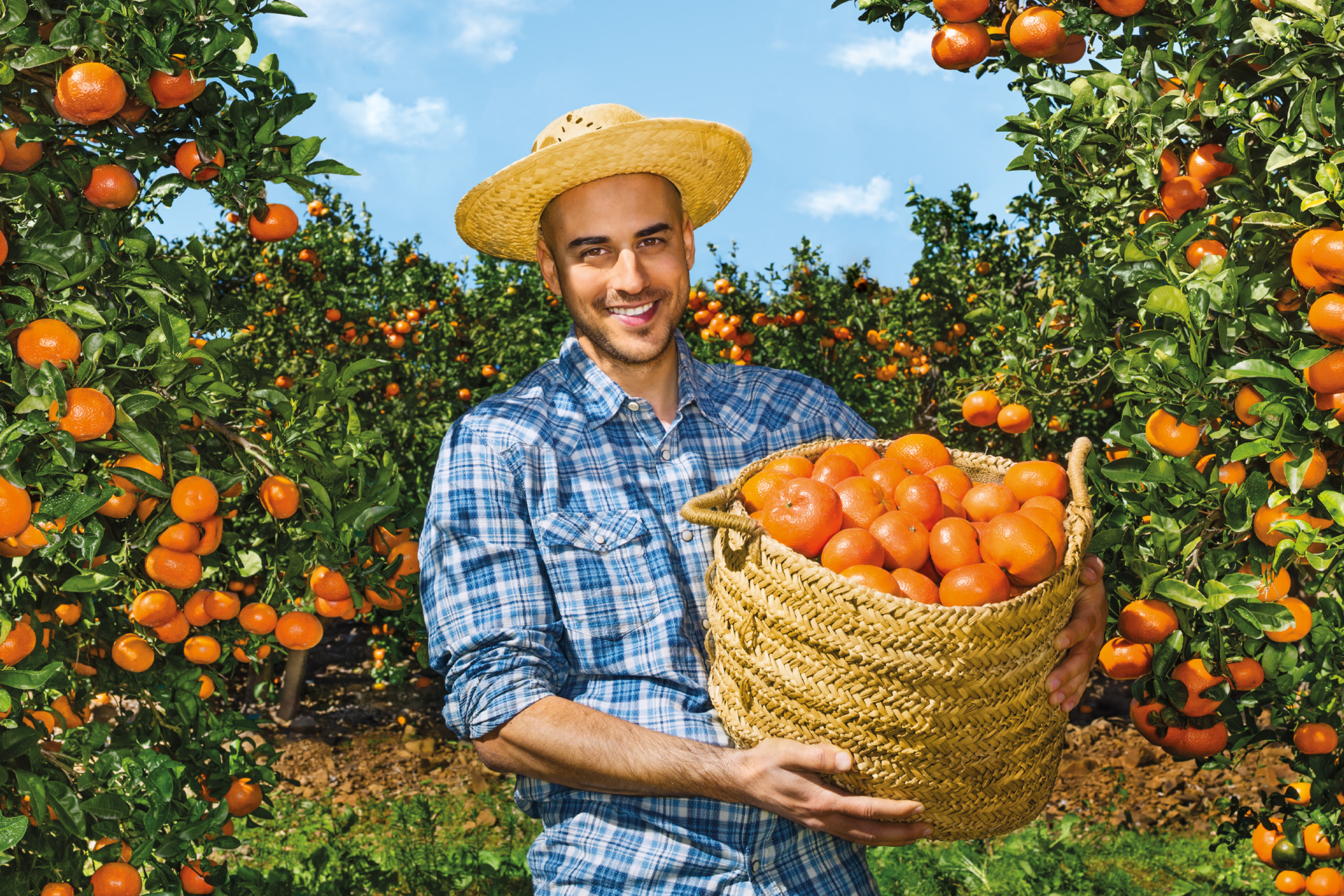 SanLucar Mandarinenpflücker steht mitten in Plantage und präsentiert voll gefülltent Korb.