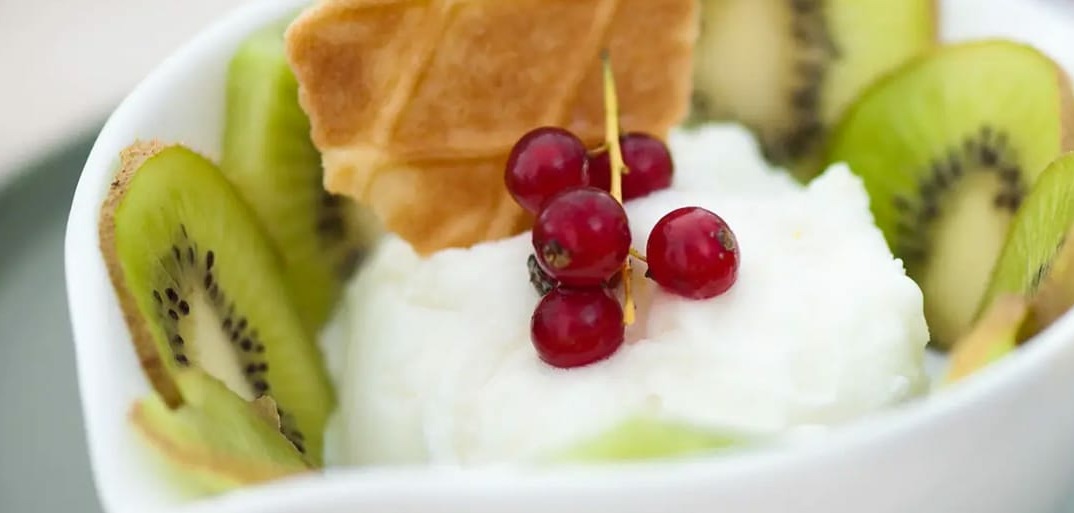 Creamy kiwi yogurt ice cream served with fresh kiwi slices – a refreshing and fruity frozen dessert