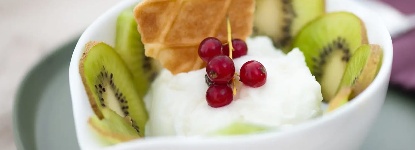 Creamy kiwi yogurt ice cream served with fresh kiwi slices – a refreshing and fruity frozen dessert