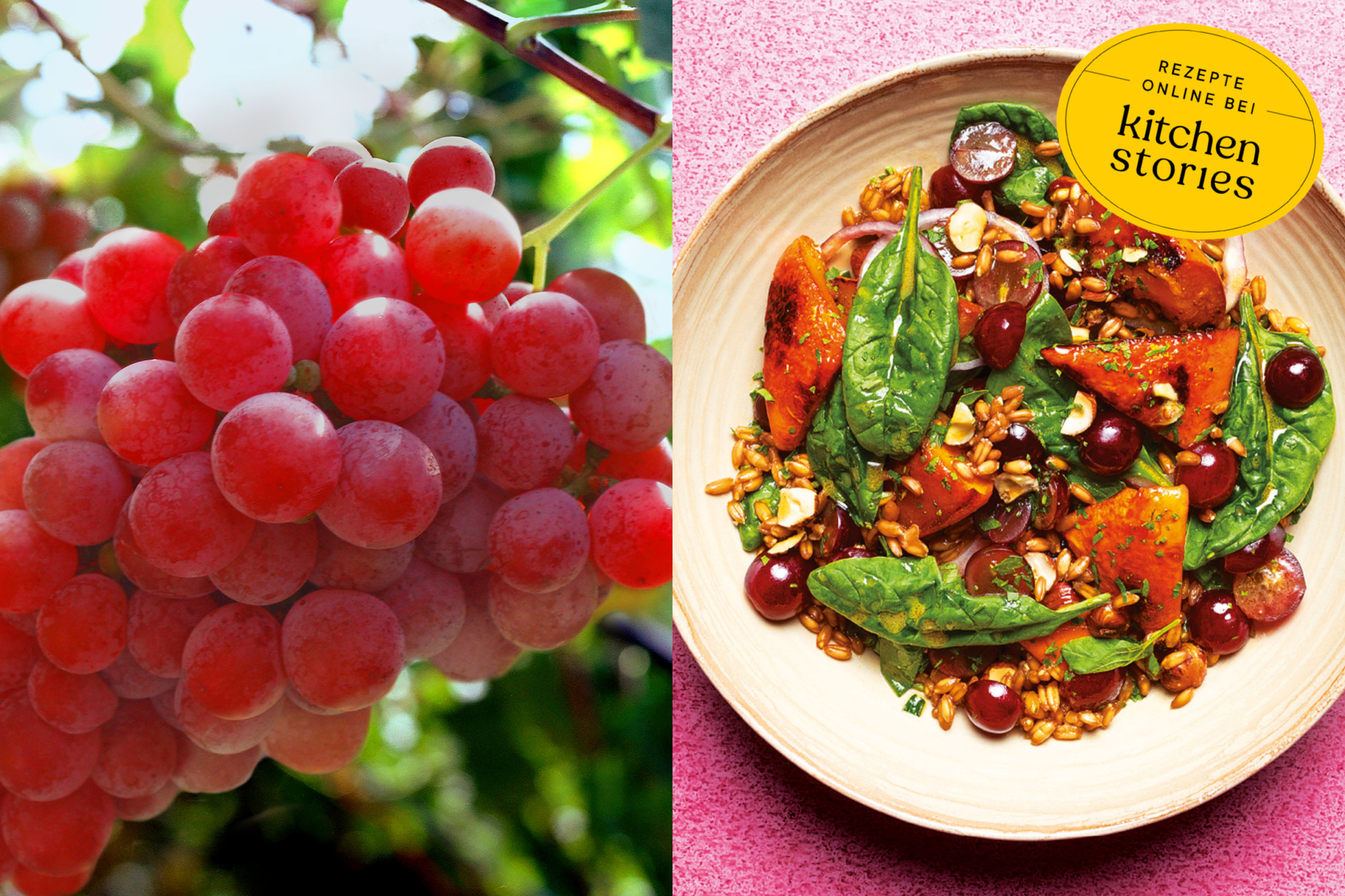 Presse_Traubenhaft Reise zu gewinnen SanLucar promotional campaign offering a chance to win a grape-themed travel experience.