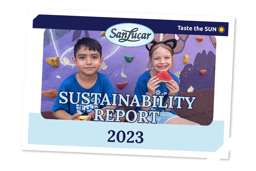 SanLucar sustainability report cover featuring nature-inspired design and eco-friendly messaging.