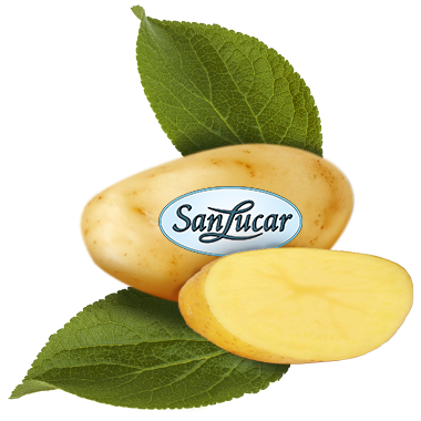 HZ_Potatoes_lose_380X380 A whole and halved potato with green leaves placed below the SanLucar logo, featuring a clean and natural background.