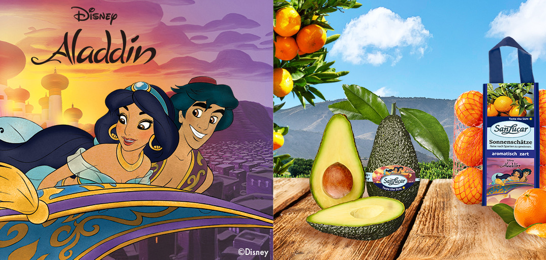 HeaderWeb_Aladdin-1414x513_invers