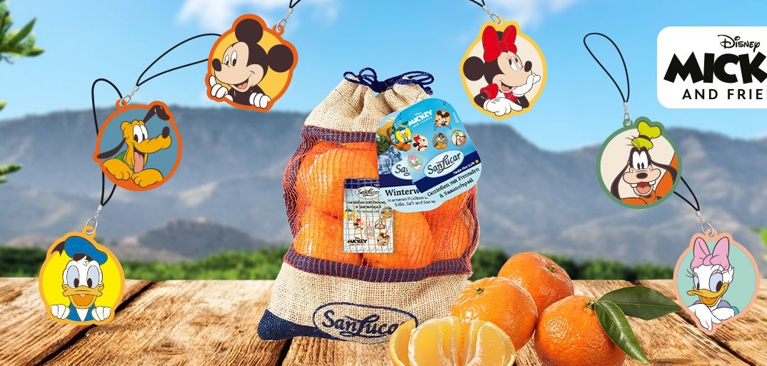 Header_Mickey Christmas3